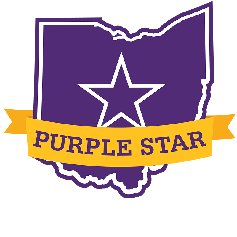 Purple Star Military Badge