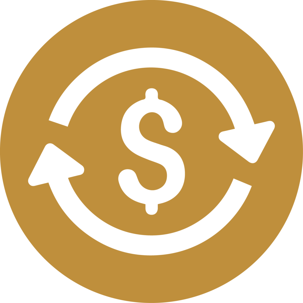 Dollar icon